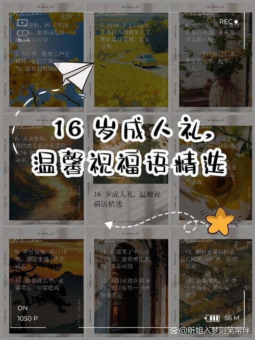 分类产品 第111页