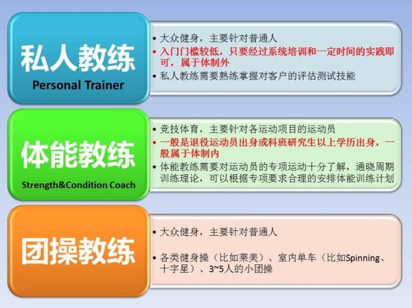 体育特长生专业,最佳精选数据资料_手机版24.02.60