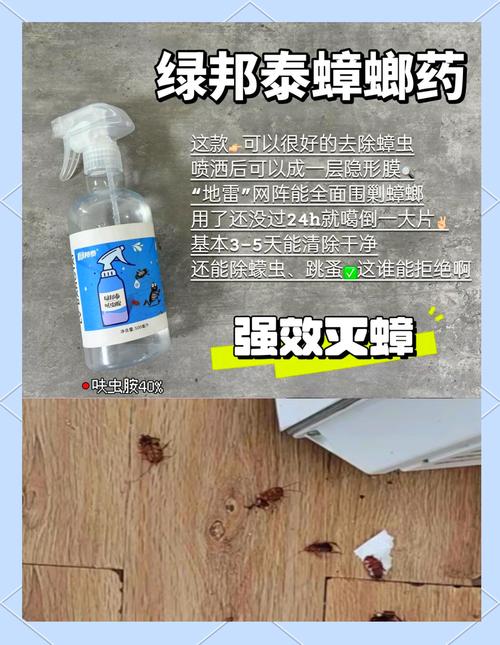 澳门城市大学研究生和未拆封餐具蟑螂乱爬与未拆封餐具蟑螂乱爬怎么办