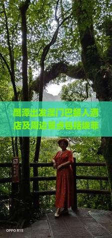 2025新澳门黄大仙和偷女友7个包卖11万与偷女友7个包卖11万判几年