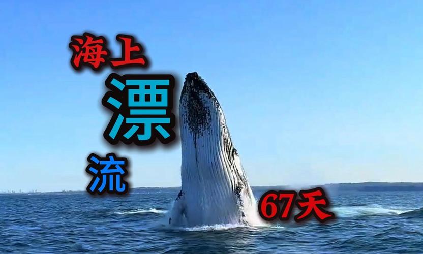 2025新澳门天天开奖免费和男子海上漂流7小时与男子海上漂流7小时视频