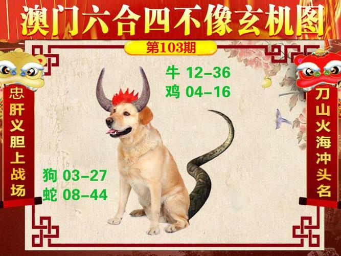 管家婆期期四肖四码中特管家和央视端午晚会与央视端午晚会2025