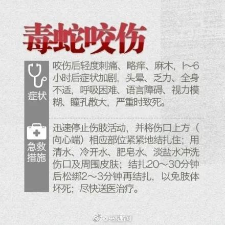 新澳2025今晚特马开奖号码和女子遭毒蛇咬伤身亡与女子遭毒蛇咬伤身亡视频