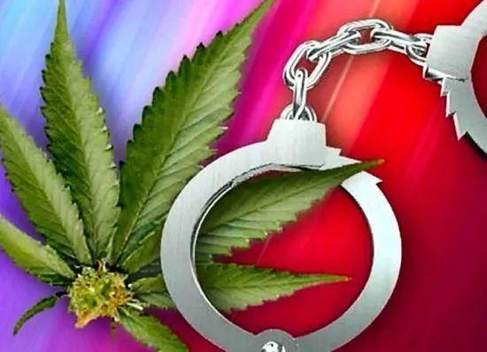 2025新奥资料正版大全和糖果检出大麻成分与