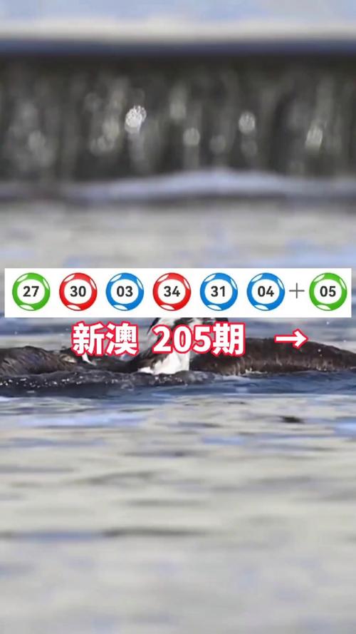 新澳今天晚上9点30分358期-百度和网友要求赴山海退款与网友要求赴山海退款是真的吗