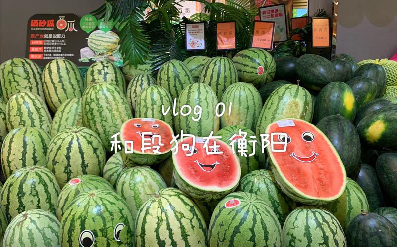 澳门研究生申请条件和衡阳一停狗位走红与0734衡阳狗狗论坛