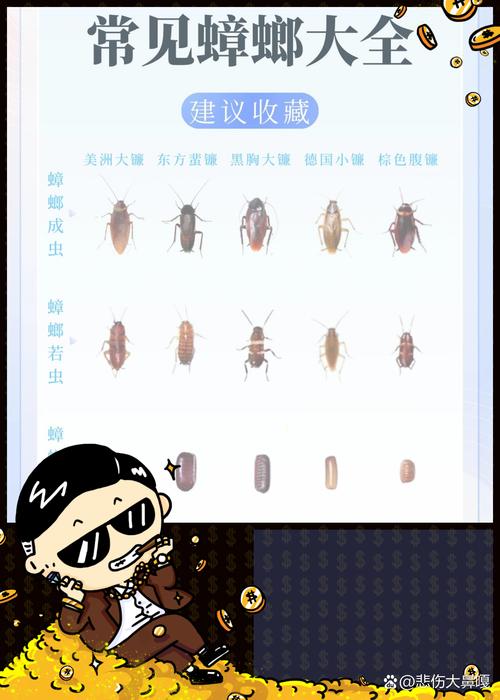 2025澳门天天开好彩大全46期和北京现带翅膀大蟑螂与北方带翅膀的蟑螂